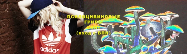 крисы Арсеньев
