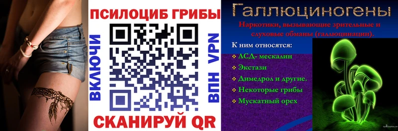 закладка  Черноголовка  Галлюциногенные грибы ЛСД 