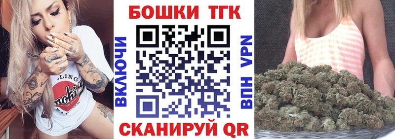 мега вход  Черноголовка  Бошки марихуана THC 21%  купить наркотики цена 